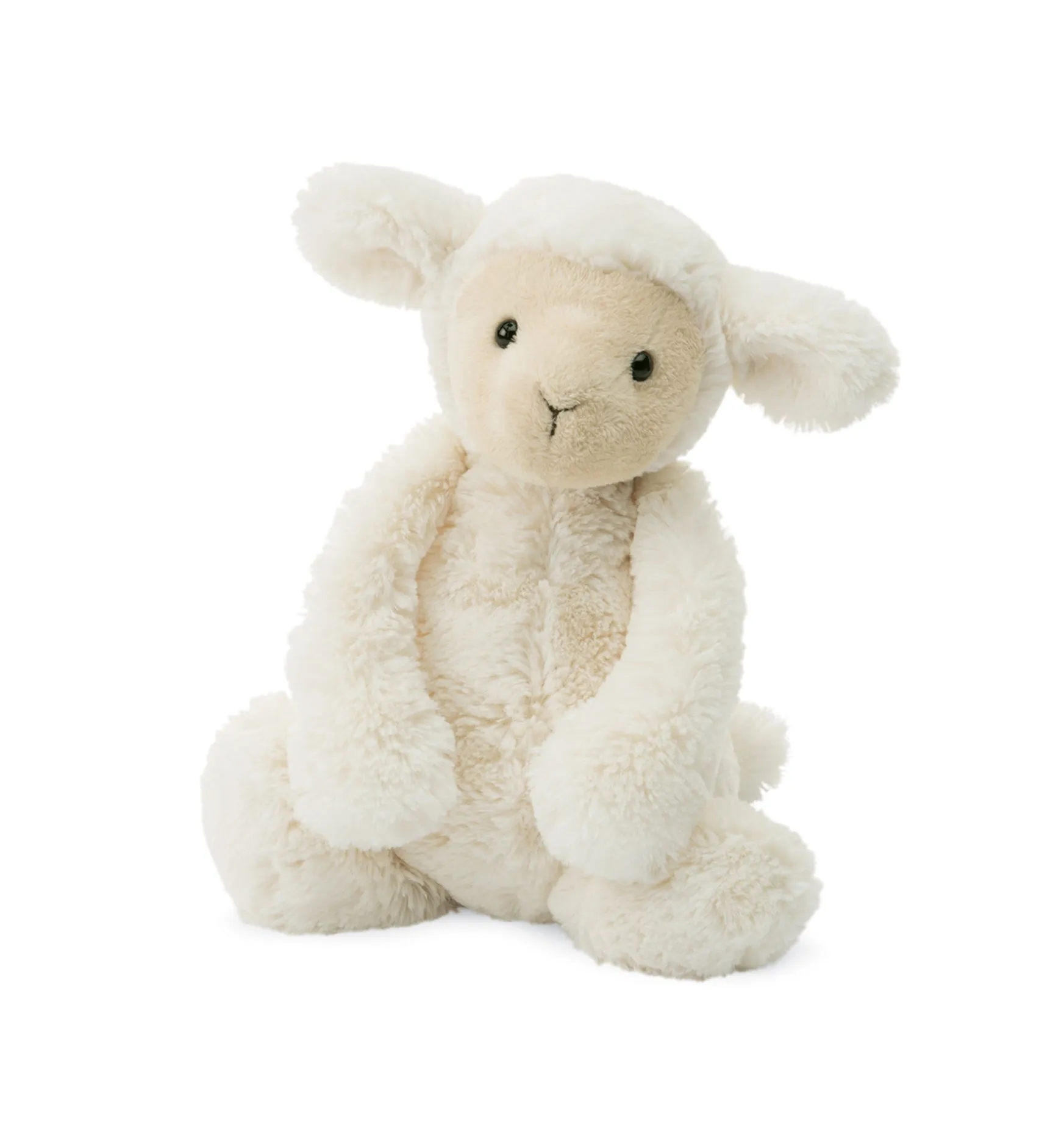 Bashful Lamb