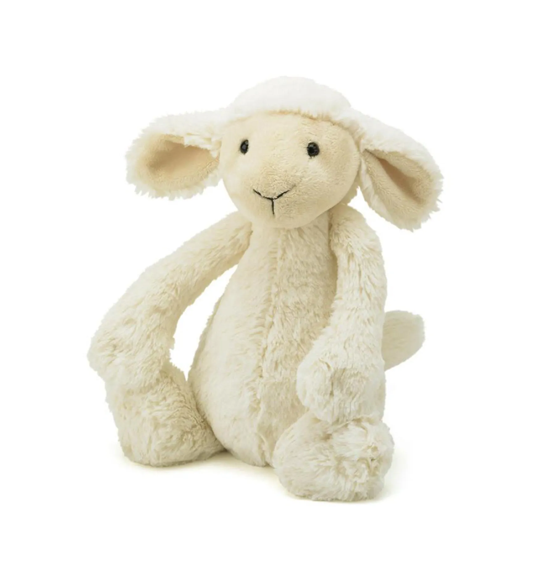 Bashful Lamb