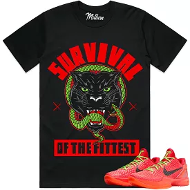 SURVIVAL : Black Sneaker Tees Shirt